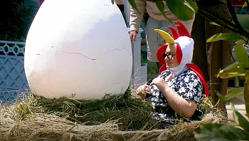 לא ציפור ולא מטוס: מי האורח המפתיע שנכנס לבית?