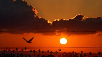 התחזית: התחממות ניכרת, לקראת ימי שרב בהמשך השבוע