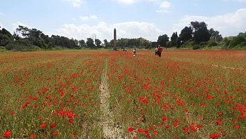 מחר זה סוף סוף קורה: אתרי הטבע נפתחים מחדש לציבור