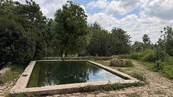 טיול סופשבוע לכל המשפחה: 4 מסלולים משגעים באזור הירוק