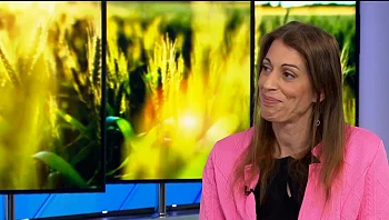 חיים אחרת: הדור החדש של בני הגיל השלישי והקהילתיות בדיור המוגן שמסייעת לזה