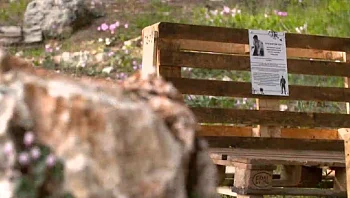 "לאהוב ללא תנאים": סיפור הנצחת החללים שגדלו בחינוך החרדי