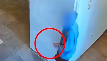 בן 15 מהשרון נאשם בהתעללות: "הרגתי חתול, הנה הרגל שלו"