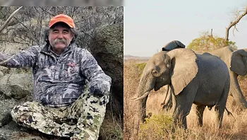 יצא לצוד - ונמחץ למוות: "הצייד המיליונר" נדרס ע"י פיל