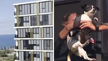 נעלמה מהדירה - ונמצאה תלויה על חלון בגובה 13 קומות