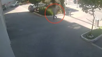 "אם לא הייתי שם - הוא היה תוקף את הבת שלי"