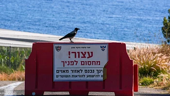 גם נתניהו נעדר: רק 3 שרים הגיעו לישיבה ה"מיוחדת" על הצפון