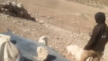 מתנחל תועד מכה כלב ומפיל אישה פלסטינית כשתינוק לצידה