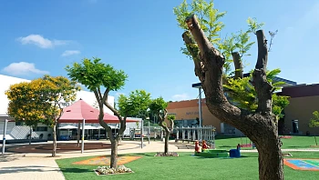 לאחר יותר מ-20 שנה: התערוכה שחוגגת יותר מ-1.5 מיליון מבקרים