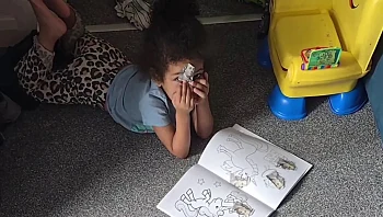 ילדה בת 3 מצאה את החיסכון של הוריה - ועשתה ממנו קונפטי
