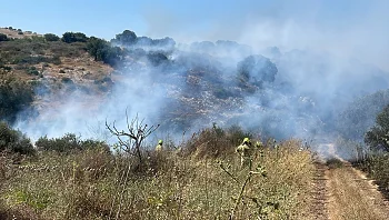 שריפה פרצה ביער בית קשת שבגליל התחתון; מטוסי כיבוי הוזנקו