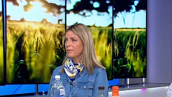 קונים ע"פ חוכמת ההמונים: המוצרים והשירותים שהצרכנים בישראל העניקו להם חותמת איכות