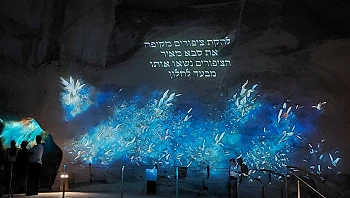 "הצליל השמיני": כשהמוזיקה של אהוד בנאי פוגשת את רחם האדמה
