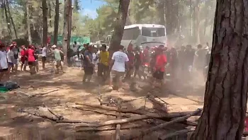 אלימות במחנה הקיץ: קטטה המונית התפתחה בין חניכי צופים מת"א
