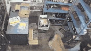 תיעוד חריג מהודו: נמר פרץ לחנות ותקף את המוכר, שנאבק בו ונמלט