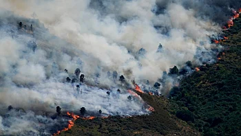 כ-200 אלף איש פונו בספרד ובצרפת: "גל השריפות ההרסני אי פעם"