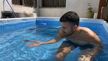 "עשה לו יום כיף": תיעדה את בעלה שוחה עם דג הזהב בבריכה