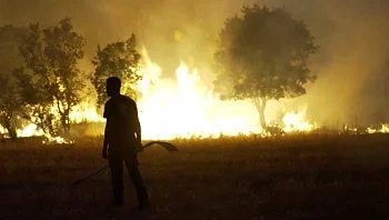 אירופה בלהבות: שריפות הענק מתרחבות, מאות אלפים פונו מבתיהם