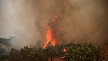 בחשד להצתת שריפה: ישראלי נעצר בכרתים בגלל מנגל שלא כובה