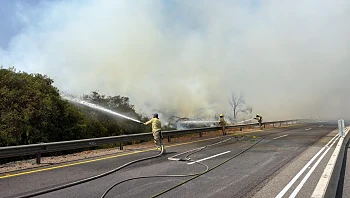 שריפה פרצה ליד יער בן שמן: הושגה שליטה באש, הכבישים נפתחו