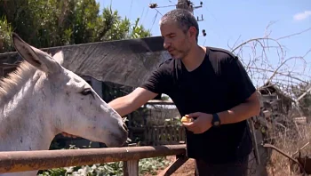 אסטרטגיית יציאה: הישראלים שפוטרו מההייטק ומגשימים חלומות