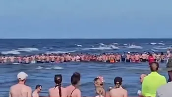 פאניקה בחוף: מאות זרים הסתדרו בשורה כדי למצוא פעוט שנעדר
