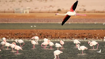 תמונה אחת שווה אלף מילים: הלוקיישנים הכי מיוחדים לבוק חתונה
