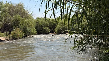 אקשן, קפה, נוף ונהר: 4 מקומות ליום טיול מושלם בצפון