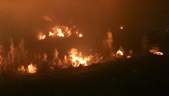צה"ל השמיד את המנהרות ברכס עלי טאהר: "הושלם ארגון אזור הביטחון"