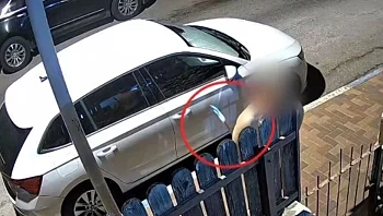 חשד: תושב כפר סבא תקף את בת זוגו והרג את כלבתו בחרב סמוראים