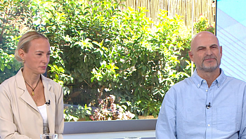 הפינה של שחר מאור
