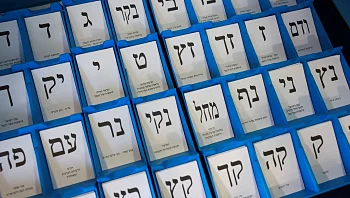 הטרדת מצביעים ודיכוי הצבעה: התוכניות הסודיות ליום הבחירות