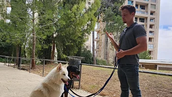 סיסטם האילוף שמאפשר לבעלי כלבים רגילים לצאת עם הכלב לכל מקום, בלי שזה יהפוך לסרט