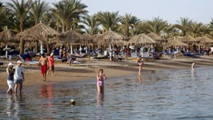 צאו מיד מסיני