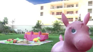 כך הפכו דירות הגן והחצרות לנכס המבוקש ביותר בעידן הקורונה