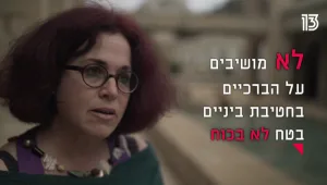 הערב, ב"הרשת החברתית", מדוע תיק הטרדה מינית נסגר?