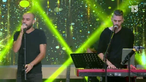 גיל ויין - צבעים