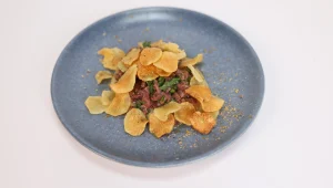 טרטר חורף של ניר סגיר