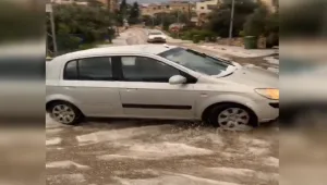 נהגים מרימים את בלם היד במהירות גבוהה וגולשים על הכביש הקפוא