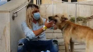 תיעוד: כך הותקף צעיר יהודי במזרח ירושלים על ידי המון ערבי