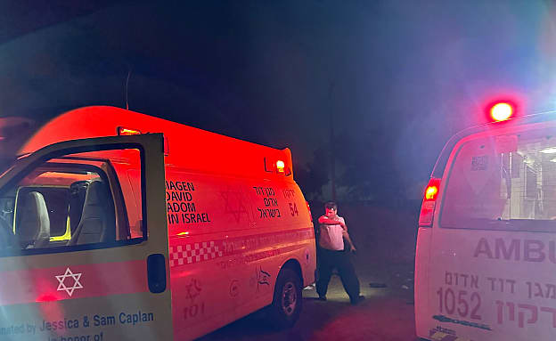 טרגדיה בשרון: בת 35 בהריון עם תאומים התמוטטה ומתה | חדשות 13