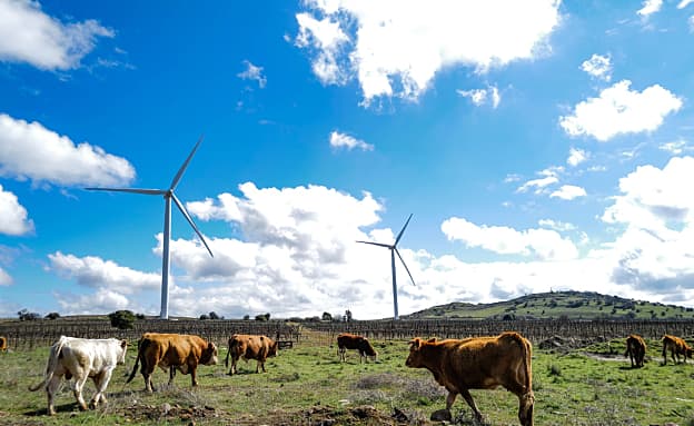התחזית לסופ”ש: מזג אוויר חמים ומעונן, ייתכנו טפטופים קלים | חדשות 13
