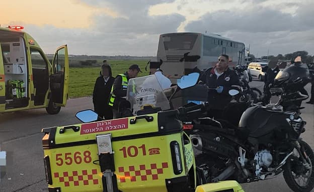 בן 17 נהרג מפגיעת אוטובוס סמוך לקריית גת | חדשות 13