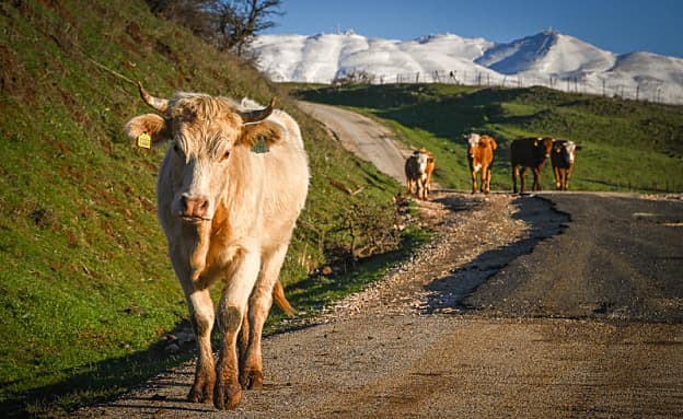 התחזית לשבת: עלייה קלה בטמפרטורות, מזג אוויר נאה ונוח | חדשות 13