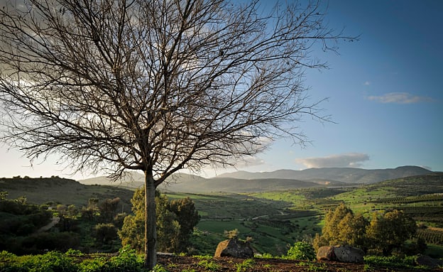התחזית: ירידה ניכרת בטמפרטורות, ייתכן גשם מקומי קל | חדשות 13