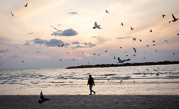 התחזית: התחממות נוספת, אובך וגשם – השרב יישבר רק מחר | חדשות 13