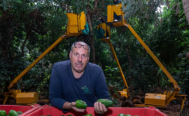 מפקדת הסוללה שפגעה ב”פושקו”: איש לא התרשל או עבר על פקודות | חדשות 13