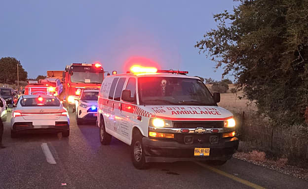 תקרית חריגה בכנרת: 11 נפצעו קל מנשיכת תן | חדשות 13