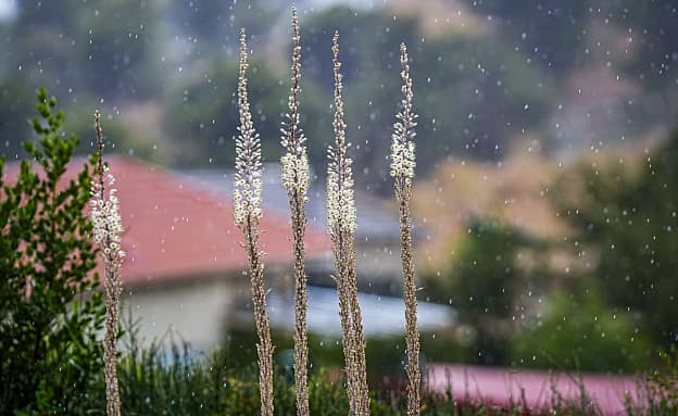 התחזית: ירידה בטמפרטורות, גשם מדי פעם בצפון ובמרכז | חדשות 13