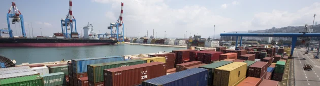 סוף למשבר: היבואן הישראלי סירב לקבל סחורה גנובה מאוקראינה